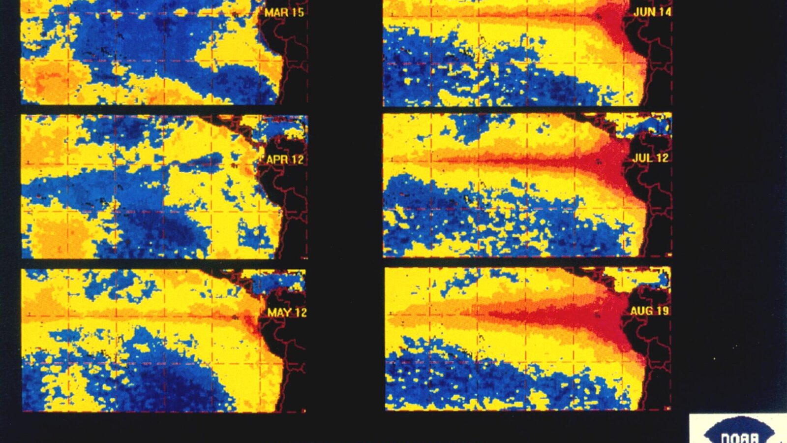 WMO Forecasts Rapid Shift to Strong El Niño, Raising Extreme Weather Risk Worldwide