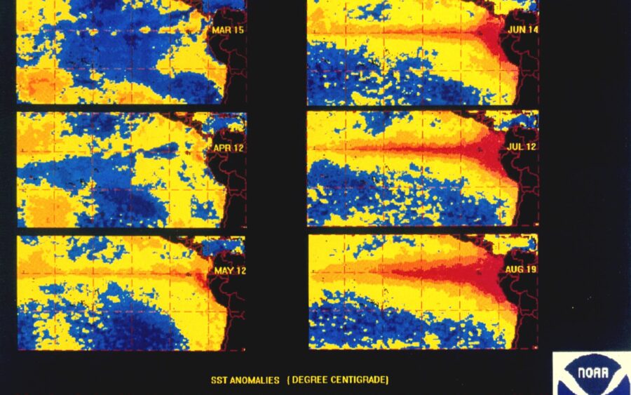 WMO Forecasts Rapid Shift to Strong El Niño, Raising Extreme Weather Risk Worldwide