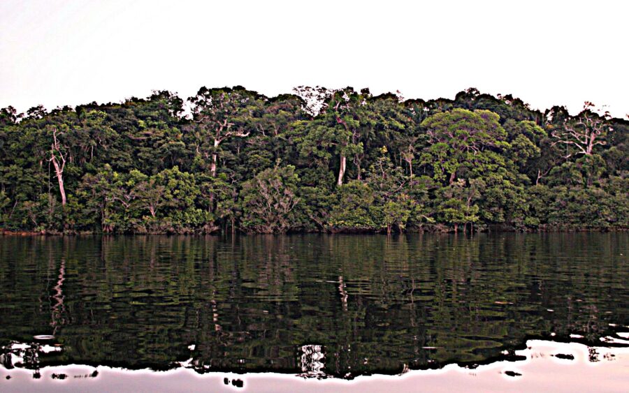 Laser Survey Maps Lost Amazon Civilisation