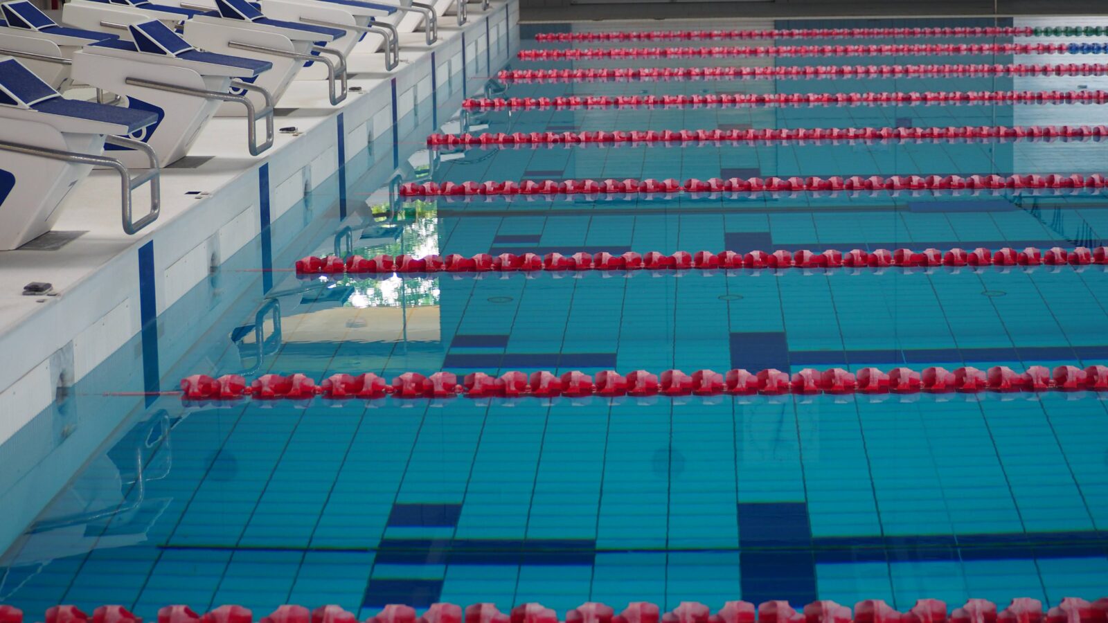 Le Clos Becomes Most Decorated Commonwealth Athlete