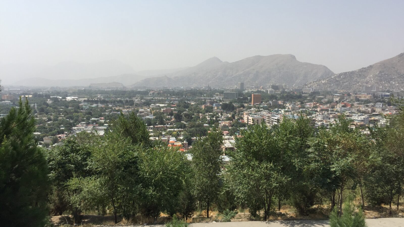 Afghanistan Reaches Five Years of Taliban Rule