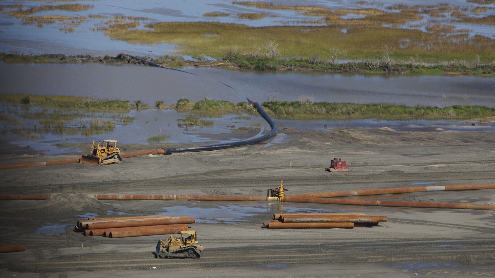Five Dead in Louisiana From Coastal Water Bacterium